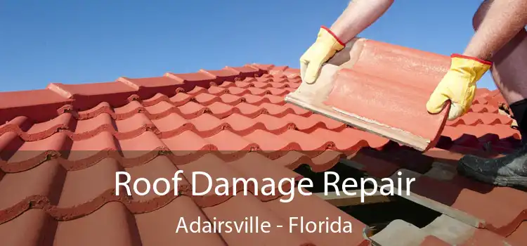 Roof Damage Repair Adairsville - Florida