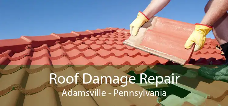 Roof Damage Repair Adamsville - Pennsylvania