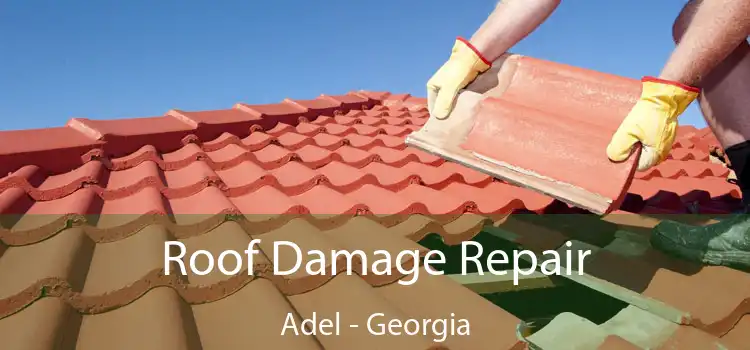 Roof Damage Repair Adel - Georgia