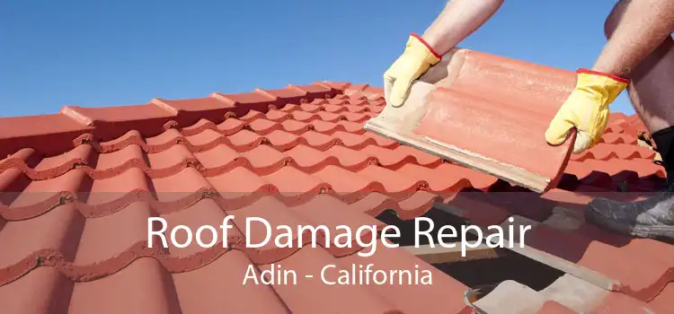 Roof Damage Repair Adin - California