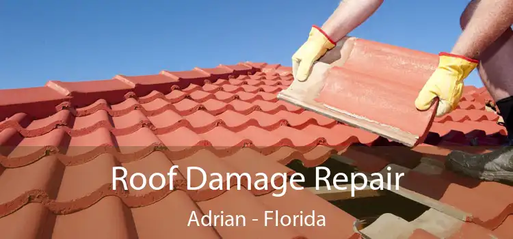 Roof Damage Repair Adrian - Florida