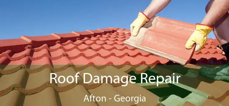 Roof Damage Repair Afton - Georgia