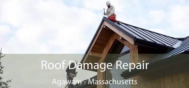 Roof Damage Repair Agawam - Massachusetts