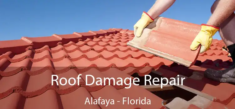 Roof Damage Repair Alafaya - Florida