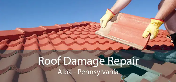 Roof Damage Repair Alba - Pennsylvania