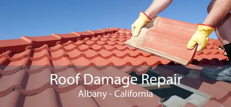 Roof Damage Repair Albany - California