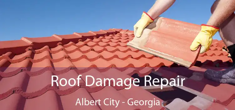 Roof Damage Repair Albert City - Georgia