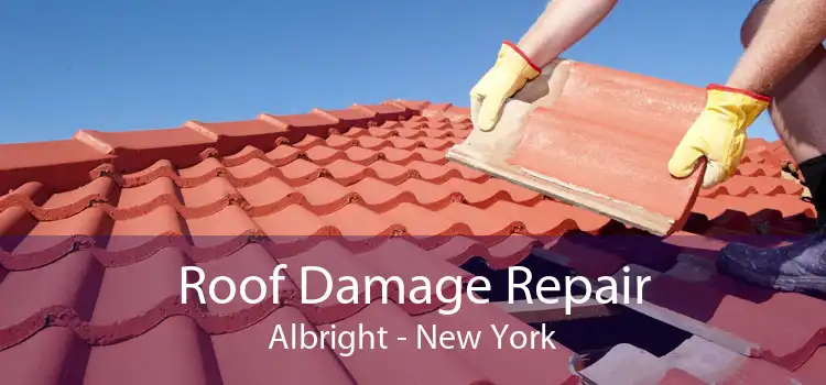 Roof Damage Repair Albright - New York