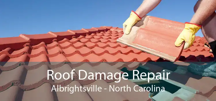Roof Damage Repair Albrightsville - North Carolina