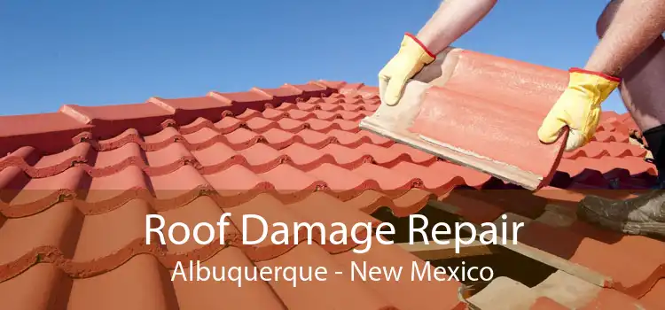 Roof Damage Repair Albuquerque - New Mexico