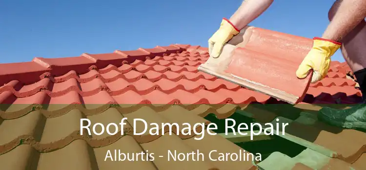 Roof Damage Repair Alburtis - North Carolina