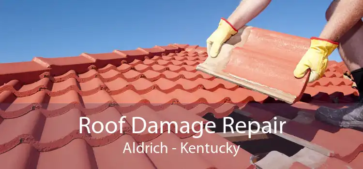 Roof Damage Repair Aldrich - Kentucky