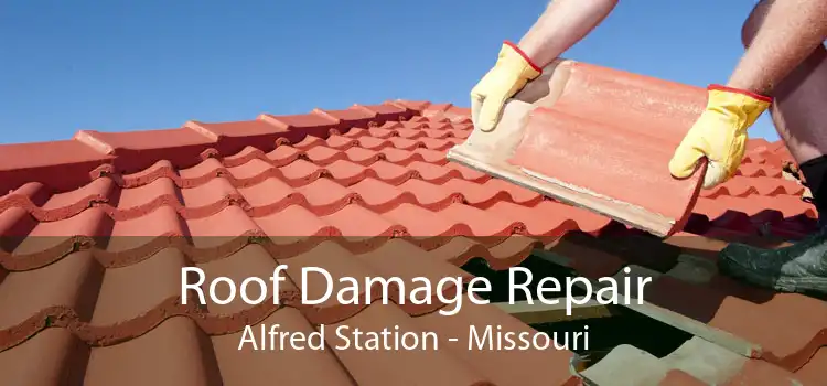 Roof Damage Repair Alfred Station - Missouri
