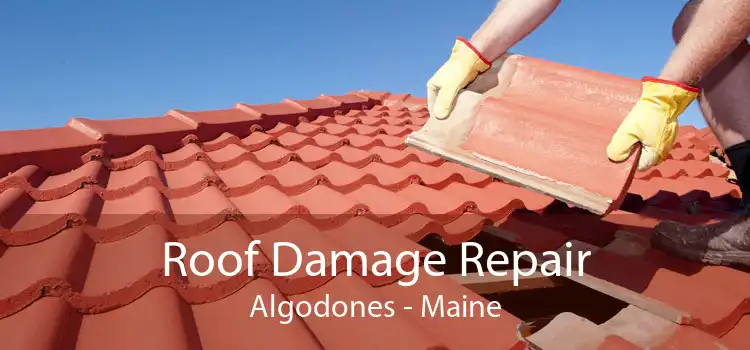 Roof Damage Repair Algodones - Maine
