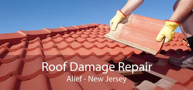 Roof Damage Repair Alief - New Jersey