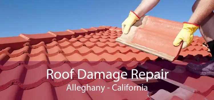 Roof Damage Repair Alleghany - California