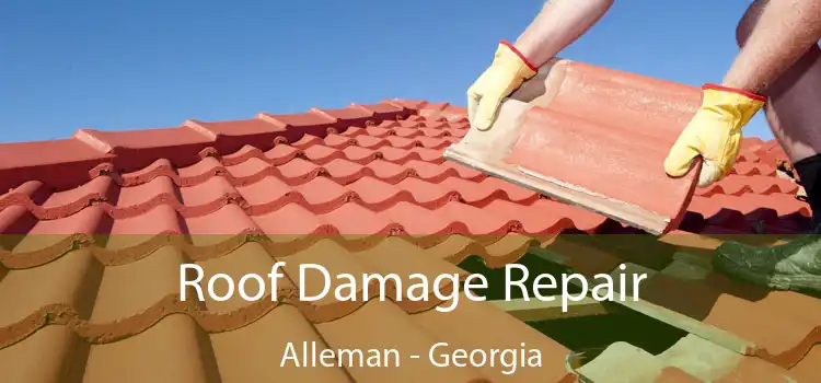 Roof Damage Repair Alleman - Georgia