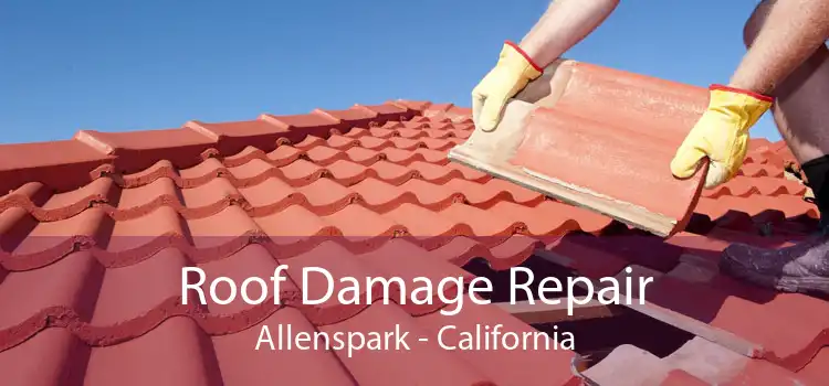 Roof Damage Repair Allenspark - California