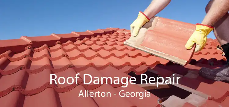 Roof Damage Repair Allerton - Georgia