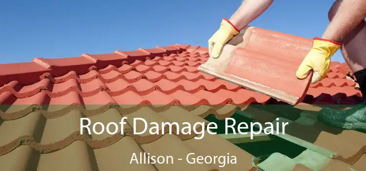 Roof Damage Repair Allison - Georgia