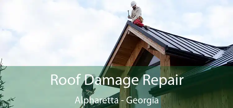 Roof Damage Repair Alpharetta - Georgia