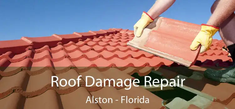 Roof Damage Repair Alston - Florida