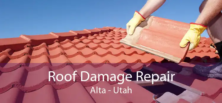 Roof Damage Repair Alta - Utah