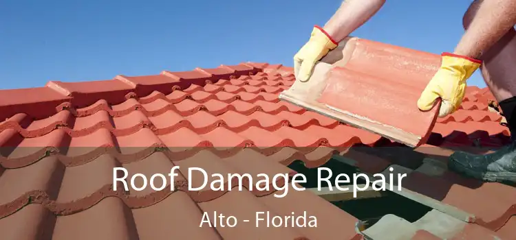 Roof Damage Repair Alto - Florida