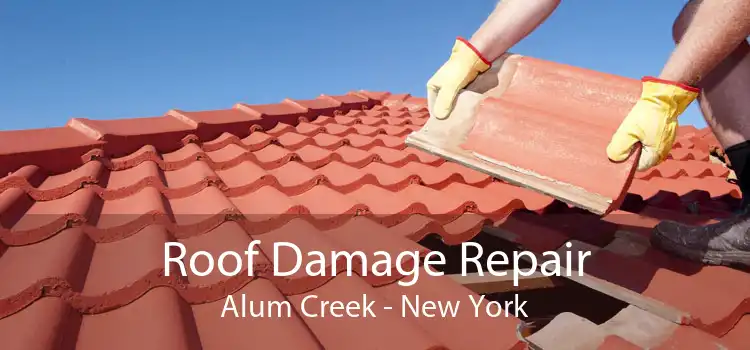 Roof Damage Repair Alum Creek - New York
