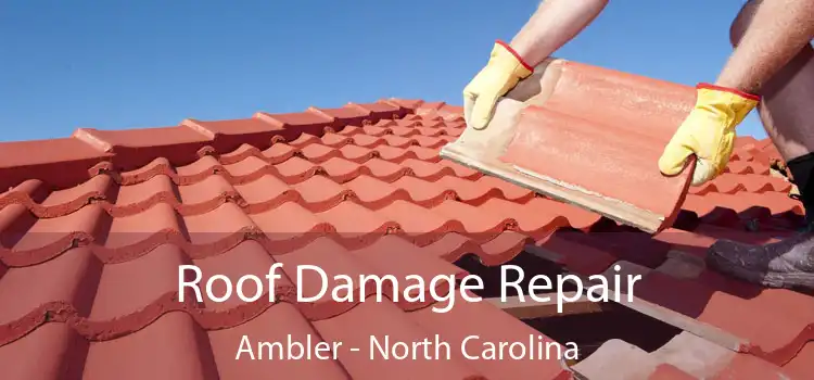 Roof Damage Repair Ambler - North Carolina