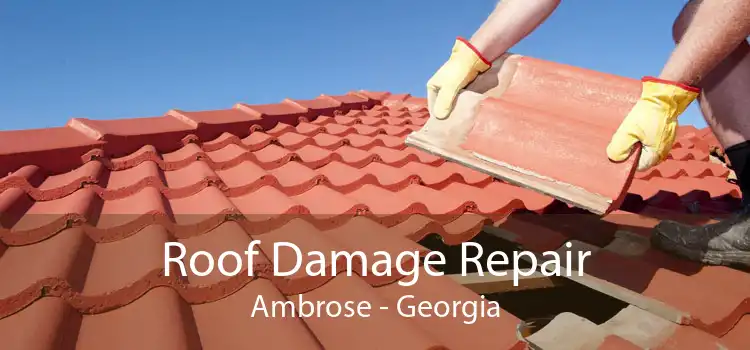 Roof Damage Repair Ambrose - Georgia