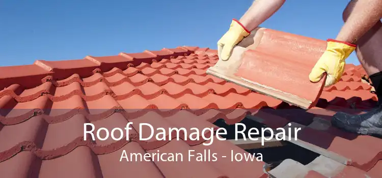 Roof Damage Repair American Falls - Iowa