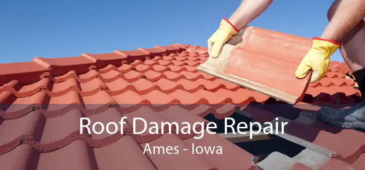Roof Damage Repair Ames - Iowa