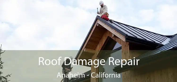 Roof Damage Repair Anaheim - California