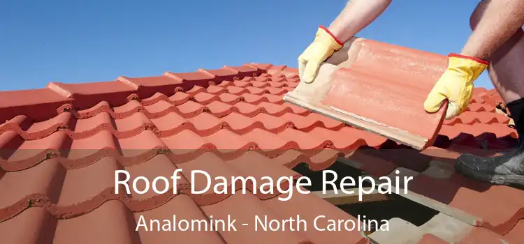 Roof Damage Repair Analomink - North Carolina