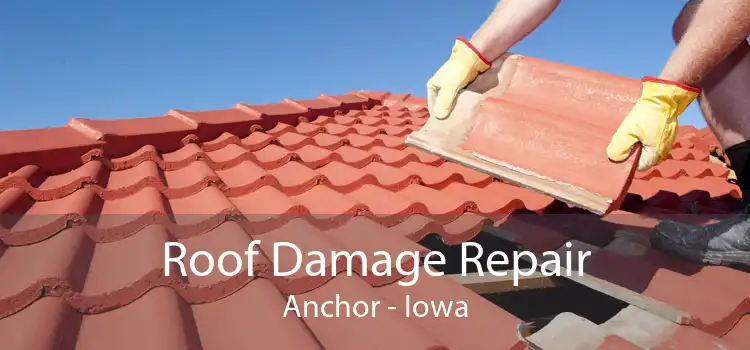 Roof Damage Repair Anchor - Iowa