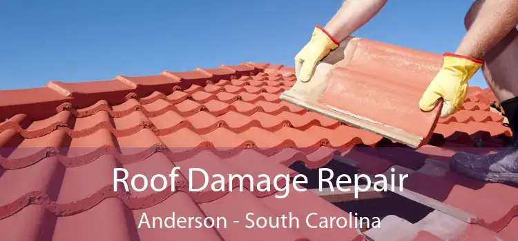 Roof Damage Repair Anderson - South Carolina