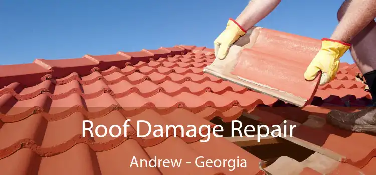 Roof Damage Repair Andrew - Georgia