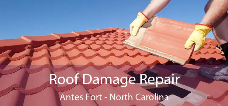 Roof Damage Repair Antes Fort - North Carolina