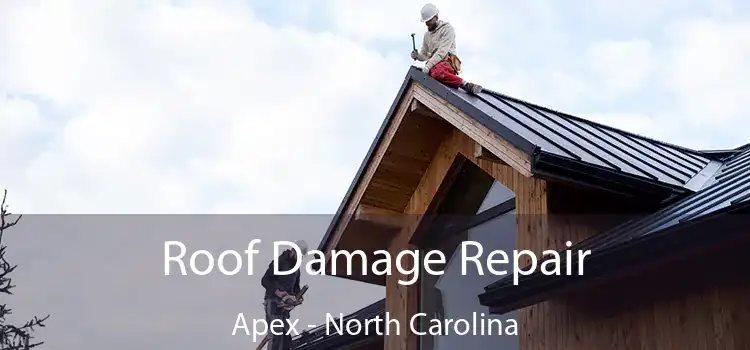 Roof Damage Repair Apex - North Carolina