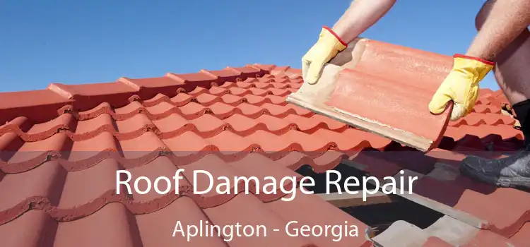 Roof Damage Repair Aplington - Georgia