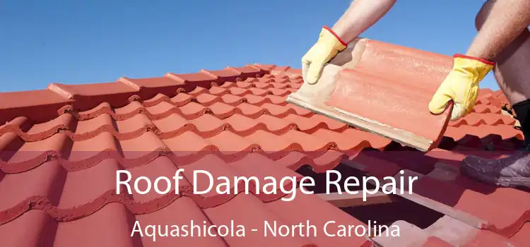 Roof Damage Repair Aquashicola - North Carolina