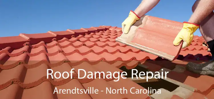 Roof Damage Repair Arendtsville - North Carolina