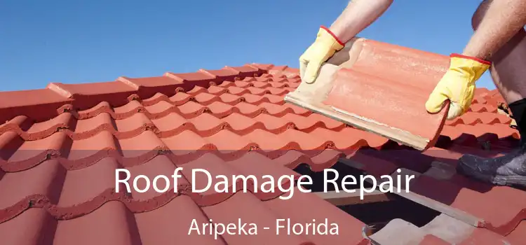 Roof Damage Repair Aripeka - Florida