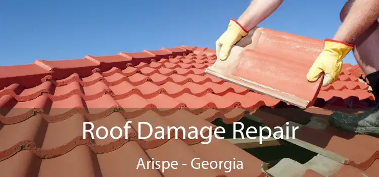 Roof Damage Repair Arispe - Georgia