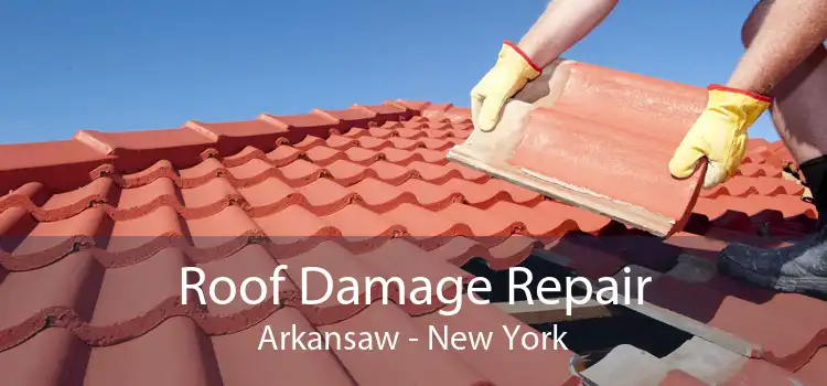 Roof Damage Repair Arkansaw - New York