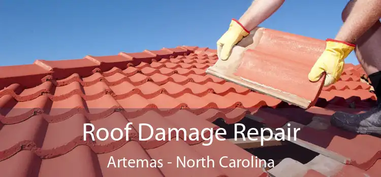 Roof Damage Repair Artemas - North Carolina