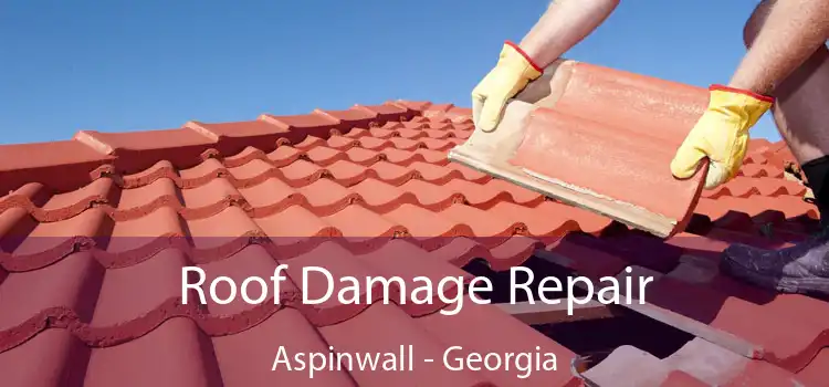 Roof Damage Repair Aspinwall - Georgia