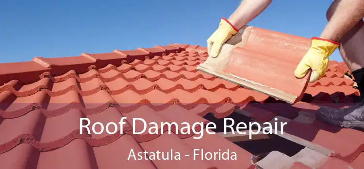 Roof Damage Repair Astatula - Florida