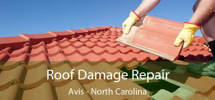 Roof Damage Repair Avis - North Carolina